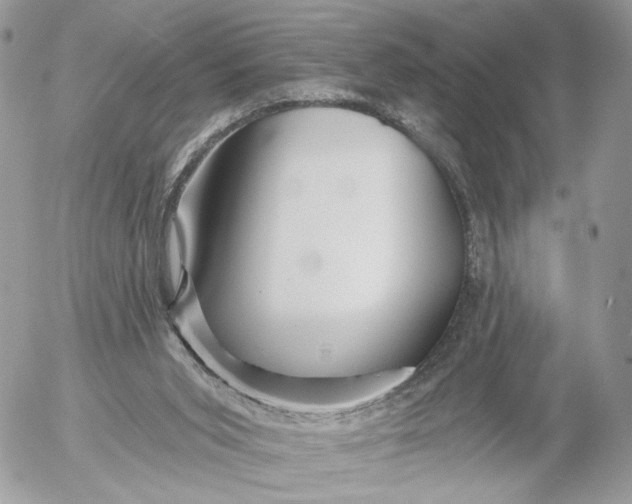 X0000054440015200508191623