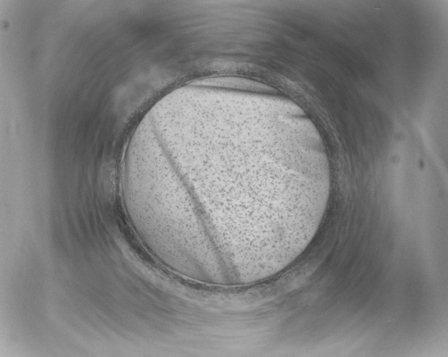 X0000054440016200508191623