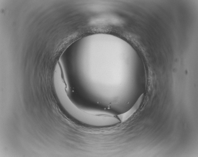 X0000054440017200508191623