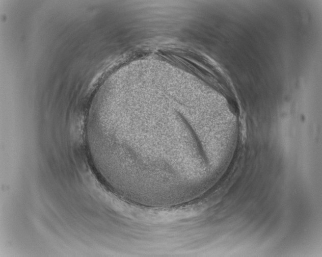 X0000054440018200508191623