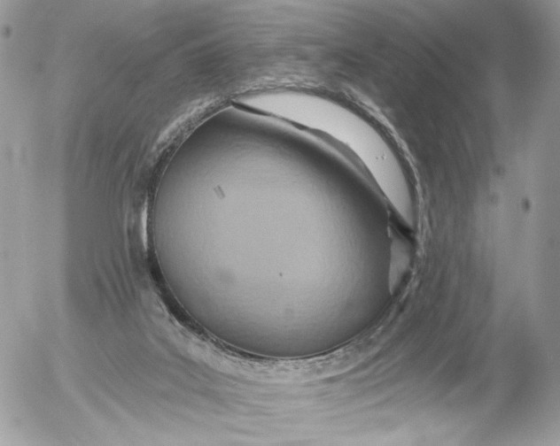 X0000054440019200508191623