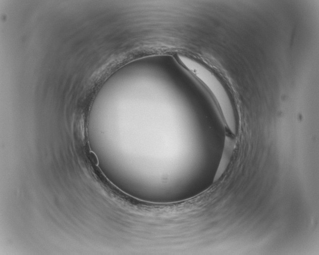 X0000054440021200508191623