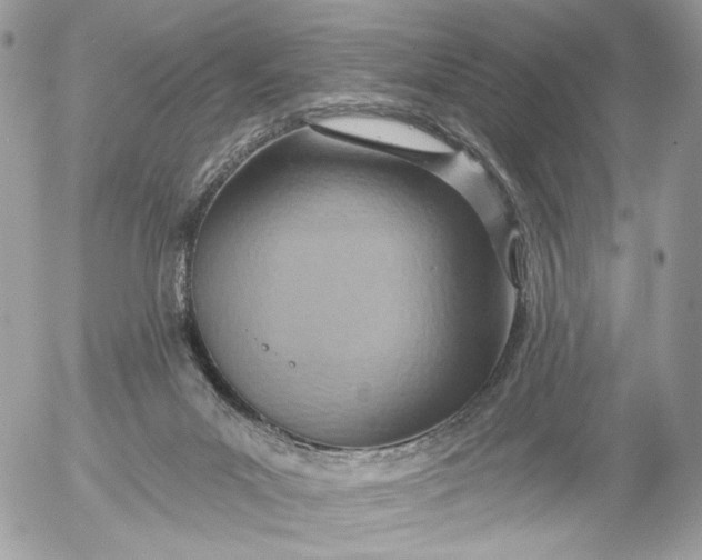 X0000054440023200508191623