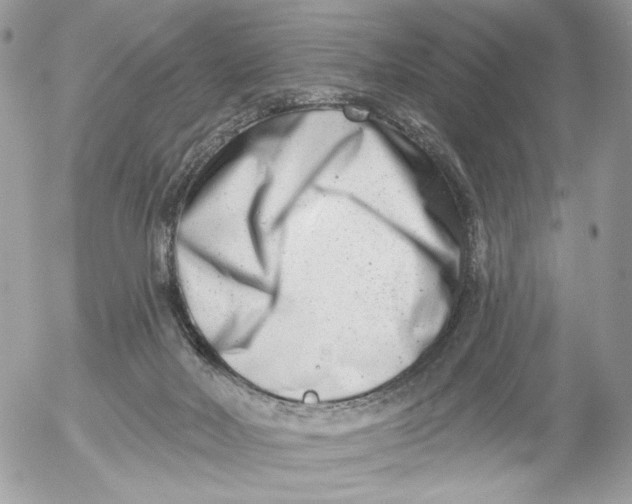 X0000054440026200508191623