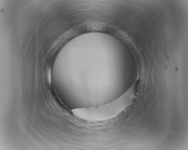 X0000054440027200508191623