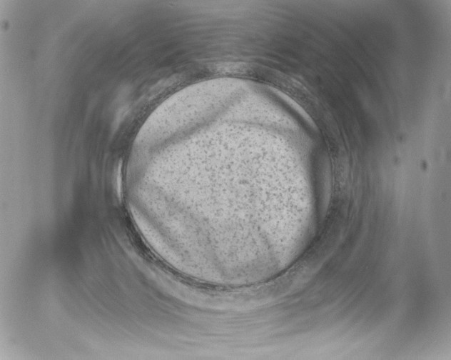 X0000054440028200508191623