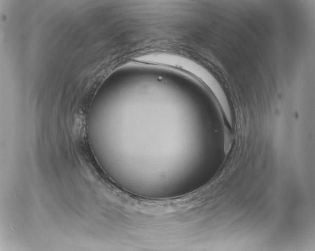 X0000054440029200508191623