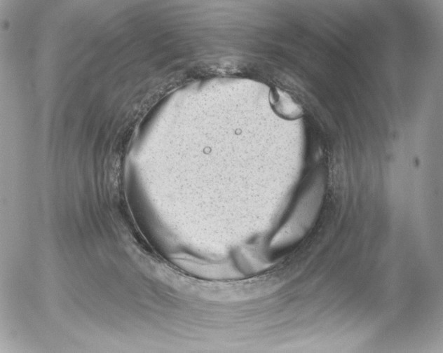 X0000054440030200508191623