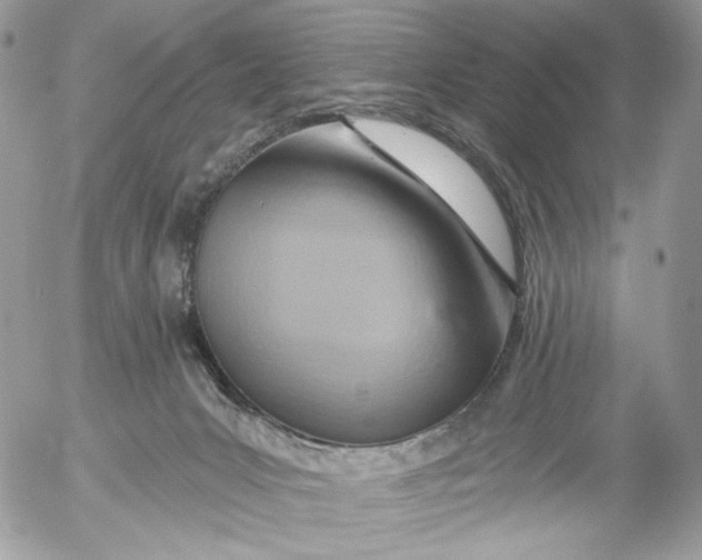 X0000054440031200508191623