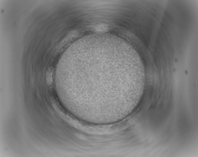 X0000054440032200508191622