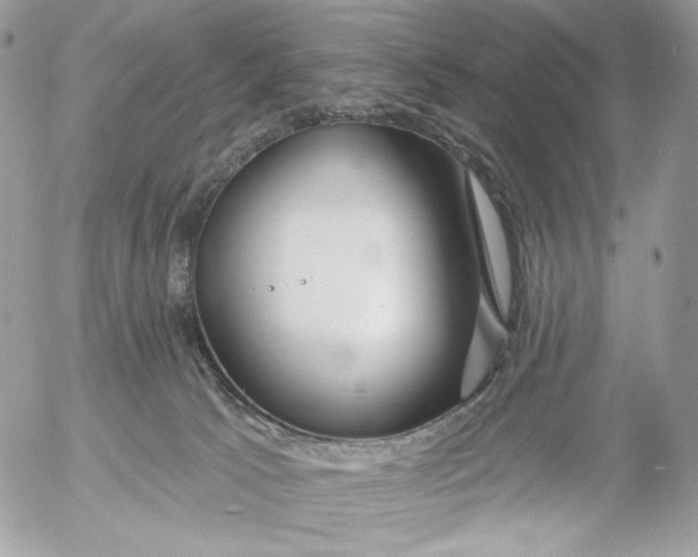 X0000054440033200508191622