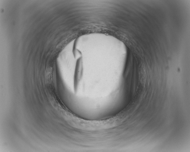 X0000054440034200508191622