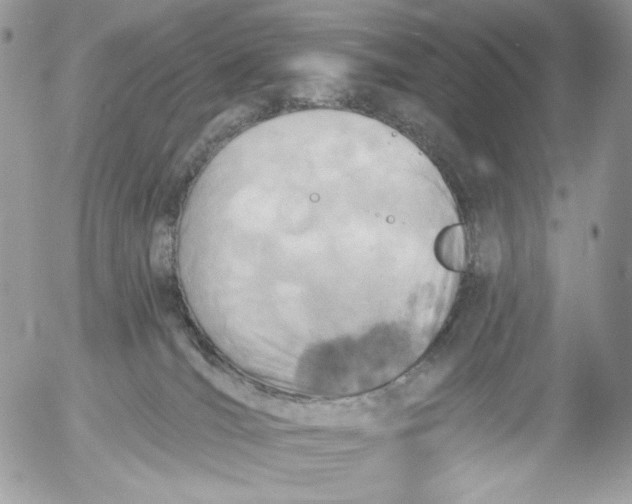 X0000054440036200508191622