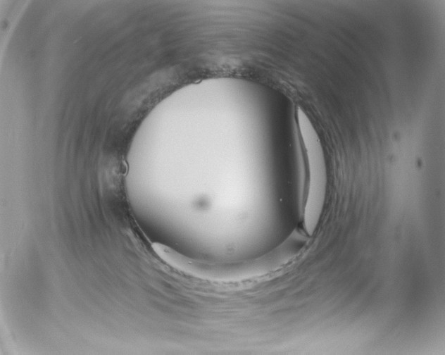 X0000054440037200508191622