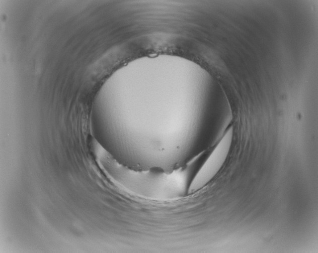 X0000054440039200508191622