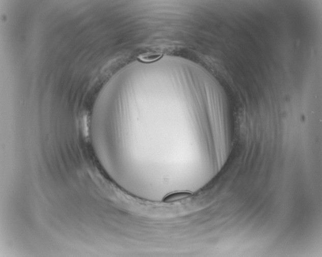 X0000054440042200508191622