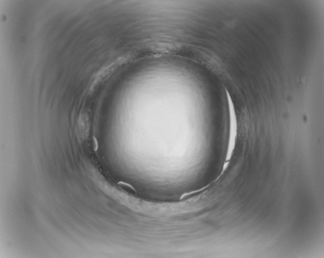 X0000054440043200508191622