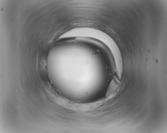 X0000054440045200508191622