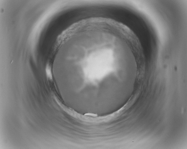 X0000054440047200508191622