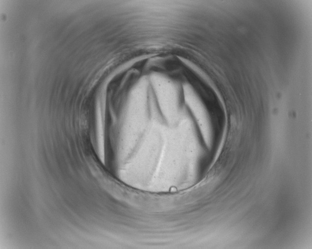 X0000054440048200508191622