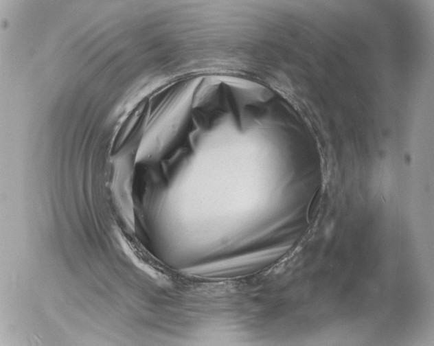 X0000054440050200508191621