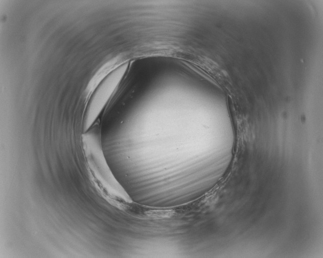 X0000054440051200508191621