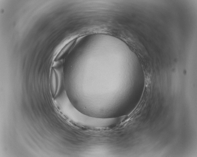 X0000054440052200508191621