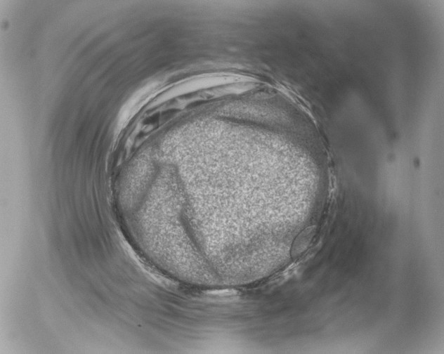 X0000054440053200508191621