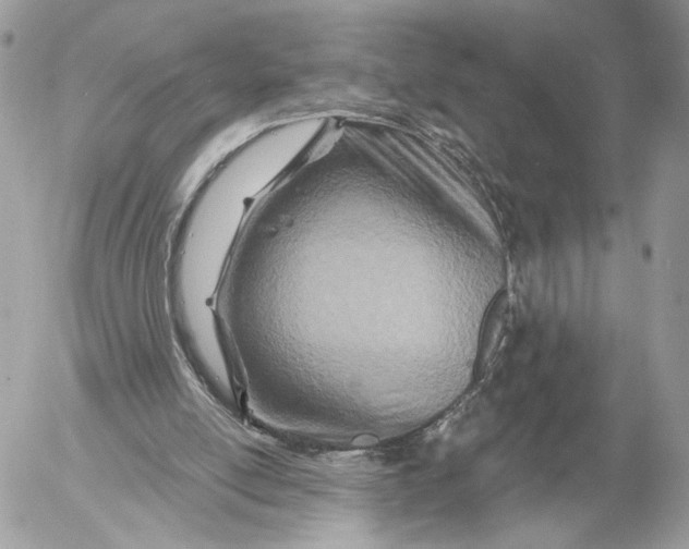 X0000054440054200508191622