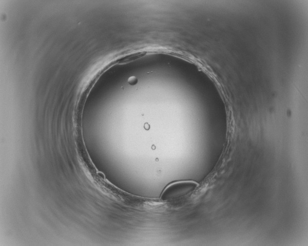 X0000054440055200508191622