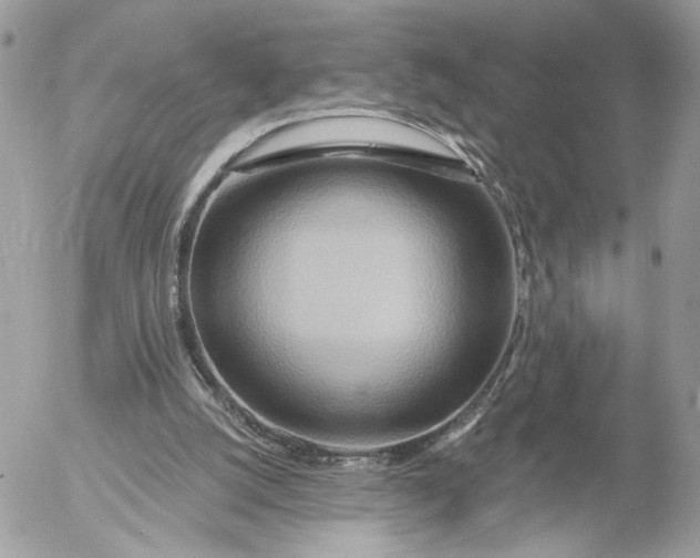 X0000054440056200508191622