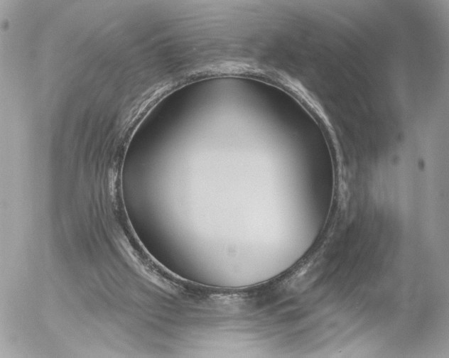 X0000054440057200508191622