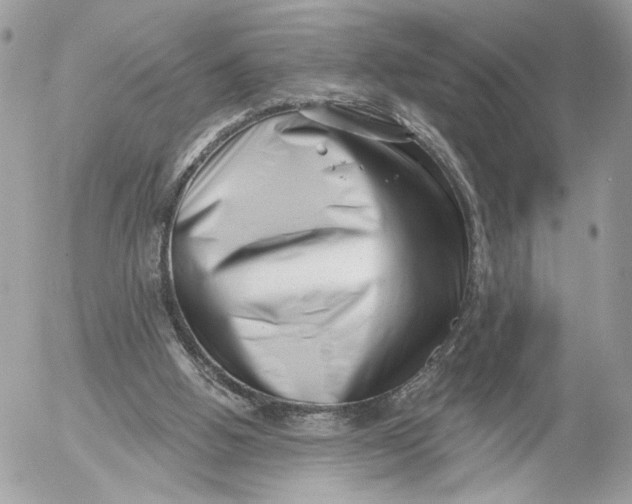 X0000054440058200508191622