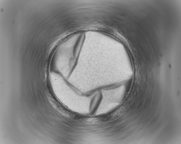 X0000054440059200508191622