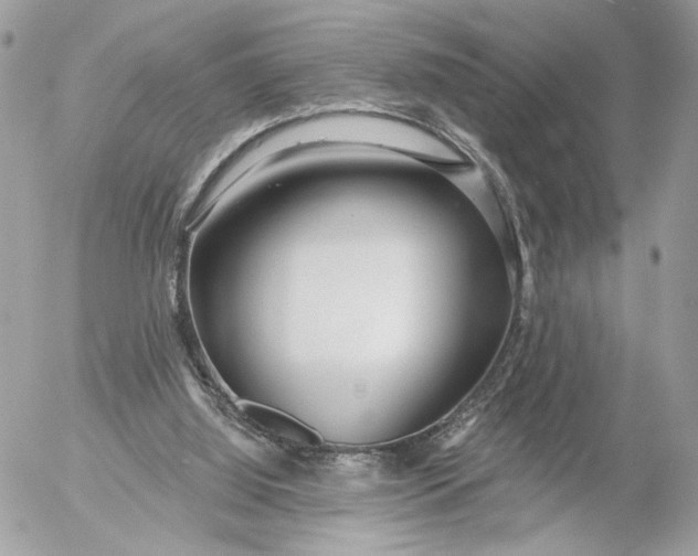 X0000054440060200508191622