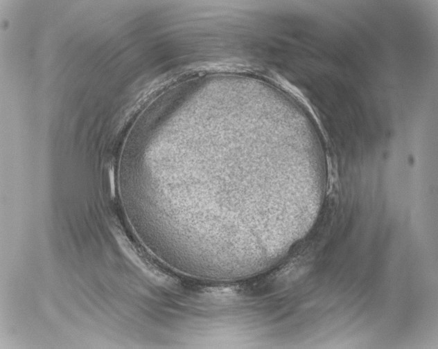 X0000054440061200508191622