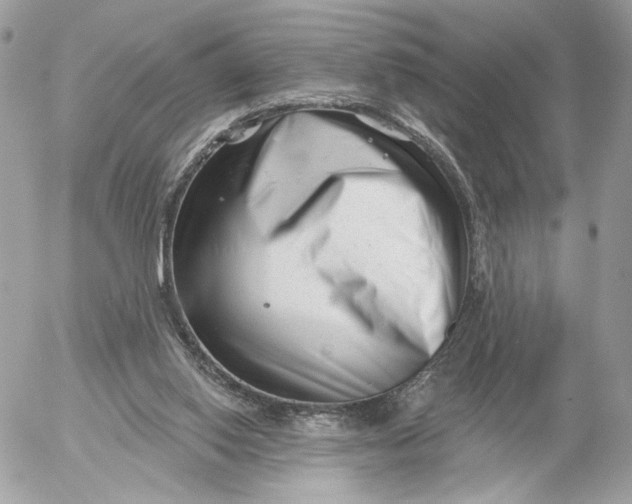 X0000054440062200508191622