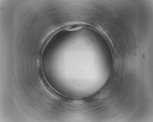 X0000054440063200508191622