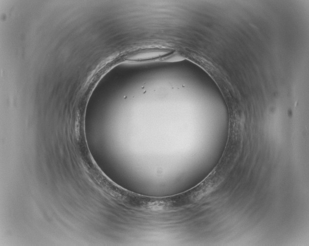 X0000054440064200508191622