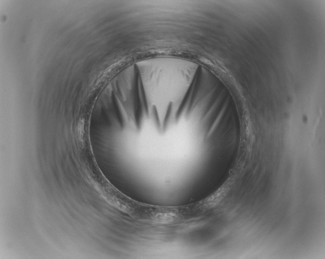 X0000054440066200508191622