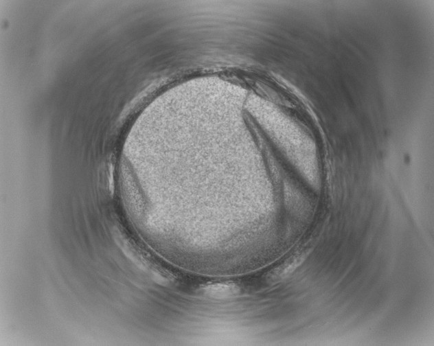 X0000054440067200508191622