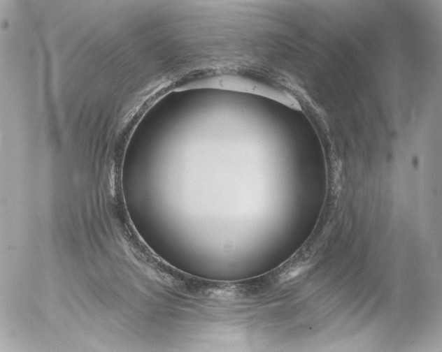 X0000054440068200508191622