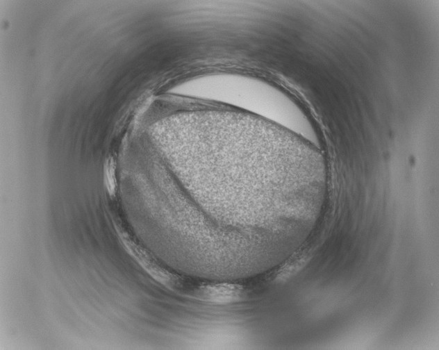 X0000054440069200508191622