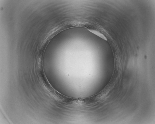 X0000054440071200508191622