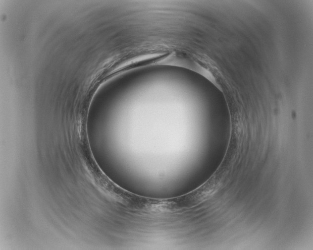 X0000054440072200508191622