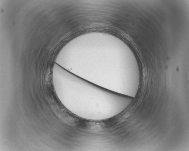 X0000054440073200508191622