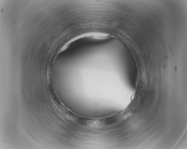 X0000054440074200508191622