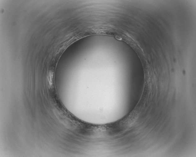 X0000054440075200508191622