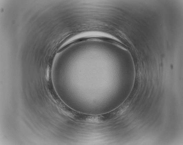 X0000054440076200508191622