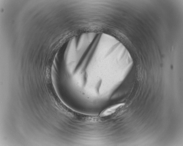 X0000054440077200508191622